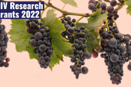 CII participará en programa de becas de investigación de la OIV 2022