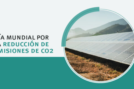 Así disminuimos nuestras emisiones de CO2 en Viña Concha y Toro