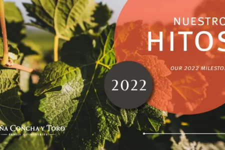 Los hitos que marcaron el 2022 de Viña Concha y Toro