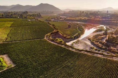 Viña Concha y Toro recibe importantes reconocimientos en Sustentabilidad