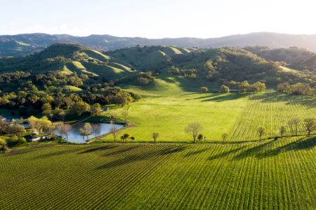 Bonterra Organic Estates es destacada por Wine Spectator