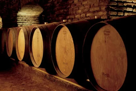 Financial Times destaca a Viña Concha y Toro